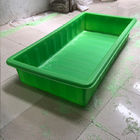 A cor verde Aquaponic cresce a cama com representar sistemas de Greenhousr Aquaponic